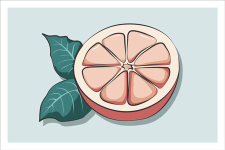 A juicy half cut grapefruit. Cartoon style with outline and colored fill. Isolated on mint background. Illustrations for design and decoration.のイラスト素材