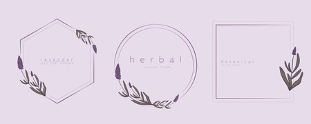 Set of lavender frame templates in minimal linear style with branches. Botanical vector illustration for labels, corporate identity, wedding invitation, logo, save the date.のイラスト素材