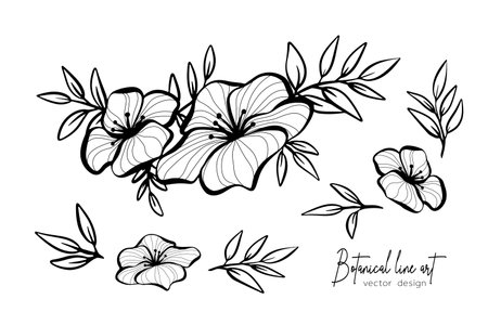 Botanical elegant line art illustration of flower leaves branch for wedding invitation and cards, logo design, web, social media and poster, template, advertisement, beauty and cosmetic industry.のイラスト素材