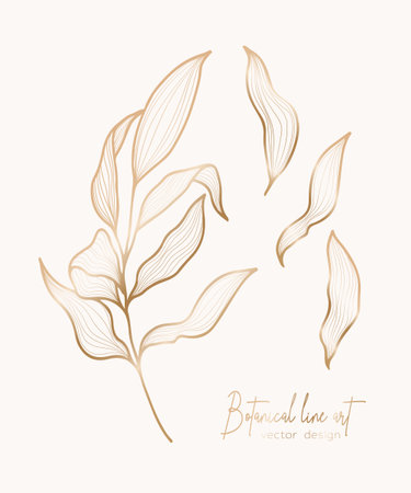 Botanical elegant golden line illustration of a leaves branch for wedding invitation and cards, logo design, web, social media and poster, template, advertisement, beauty and cosmetic industry.のイラスト素材