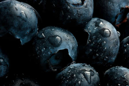 Blueberriesの写真素材