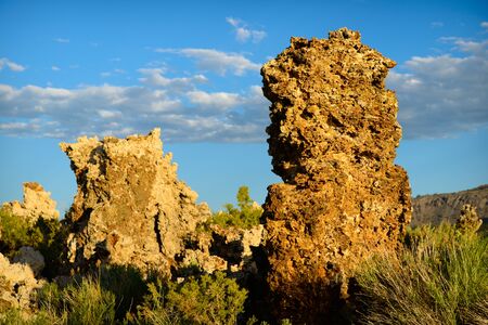 Mono Lake tufas in late afternoon shot in landscape orientationの写真素材