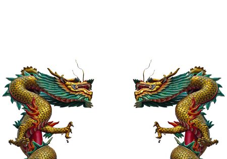 twin dragons on white background の写真素材