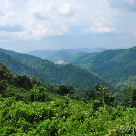 Forest landscape at Khao Yai national park, Thailand