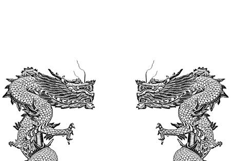 twin dragons on white background, Chinese Styleの写真素材