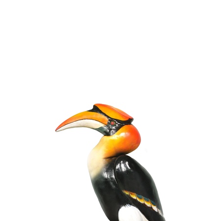 The artificial model of Great Hornbill, Buceros bicornisの写真素材