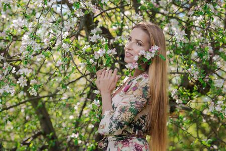 Blond girl with long hair in spring blooming apple orchardの写真素材