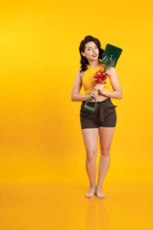 Young brunette woman with a pin-up style hairstyle in shorts holds a small shovel with a red gift bow in her hands and poses on a yellow backgroundの写真素材