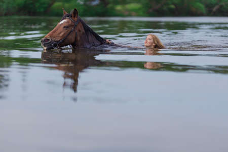 Young blonde girl in a white long dress swims in the lake with a brown horse on a sunny dayの写真素材