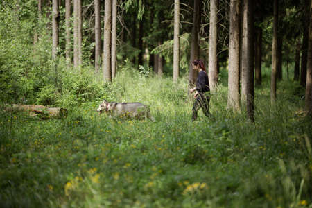 A young brunette girl goes in for sports, runs in the forest with a gray dog â€‹â€‹of the...