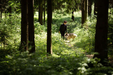 A young brunette girl goes in for sports, runs in the forest with a gray dog â€‹â€‹of the...