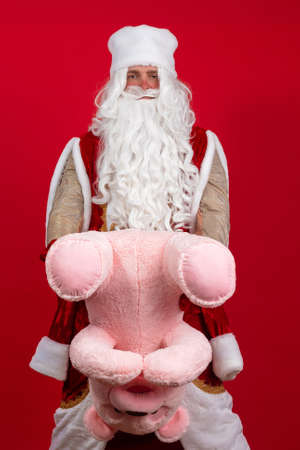 Emotional Santa Claus with a long white beard in a red coat and white hat posing with a big teddy pink bear.の写真素材