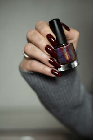 Woman hand with long nails and a bottle of dark red burgundy nail polishの写真素材