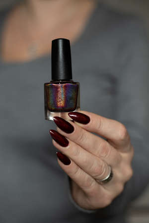 Woman hand with long nails and a bottle of dark red burgundy nail polish