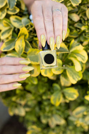 Female hand with long nails and a bottle of bright yellow green nail polishの写真素材