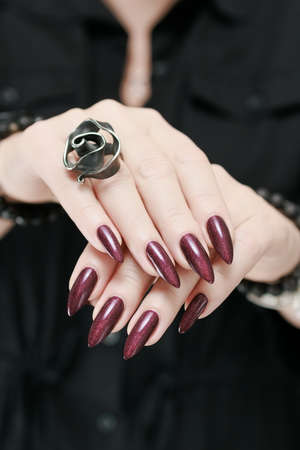 Woman's hands with long nails and a bottle of dark red bordo nail polish