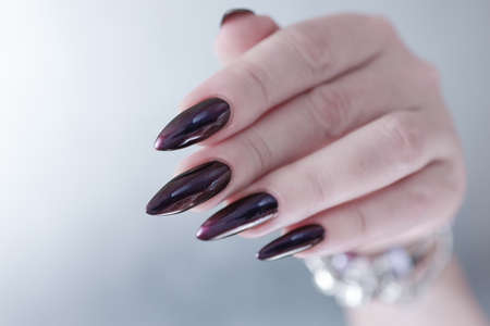 Female hand with long nails and dark purple manicure holds a bottle of nail polish