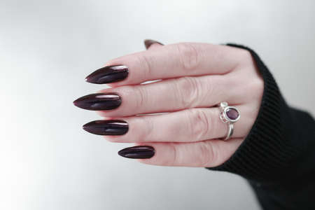 Female hand with long nails and purple plum manicure holds a bottle of nail polishの写真素材