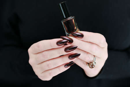 Female hand with long nails and dark red bordo manicure holds a bottle of nail polish