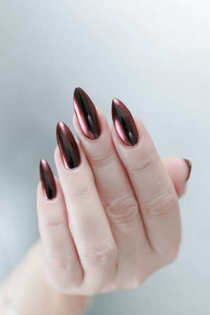 Female hand with long nails and dark red bordo manicure holds a bottle of nail polish