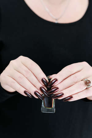 Female hand with long nails and dark red bordo manicure holds a bottle of nail polish