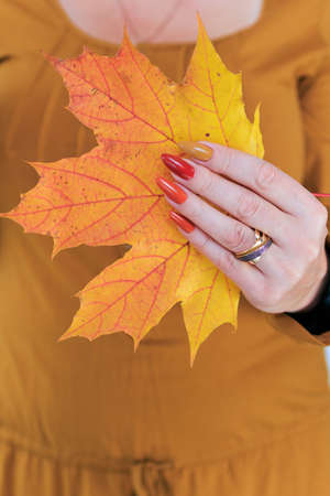 Female hand with long nails and a bottle of bright red orange yellow nail polishの写真素材