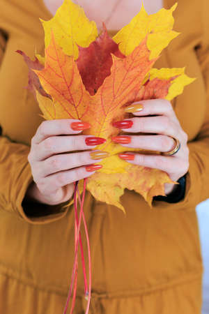 Female hand with long nails and a bottle of bright red orange yellow nail polish