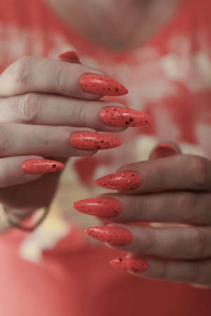 Female hands with long nails and neon pink nail polishの写真素材