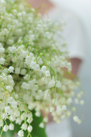 large bouquet of white lilies of the valleyの写真素材