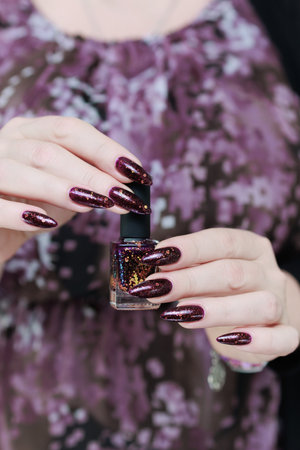 Woman hand with long nails and a bottle of dark plum burgundy nail polish