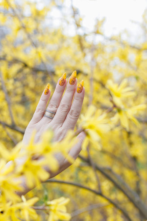 Female beautiful hand with long nails and a yellow nail polishの写真素材