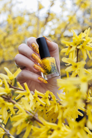 Female beautiful hand with long nails and a yellow nail polishの写真素材