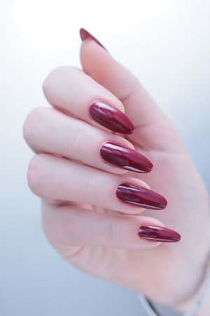 Female hands with long nails and dark black red nail polishの写真素材