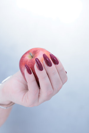 Woman's hands with red long nails are holding a ripe red apple fruit.の写真素材