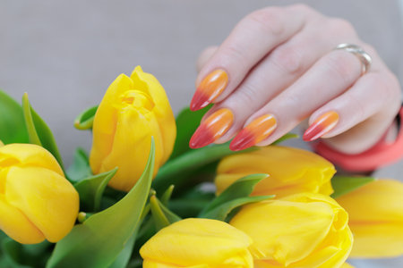 Women's hands hold flowers, a bouquet of yellow tulipsの写真素材