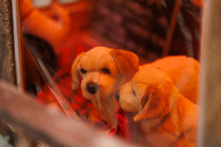 Background for design. New Year's decorations, toys and garlands in fabulous settings.の写真素材