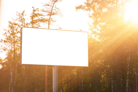 Background for design. Advertising billboard along the road on an autumn sunny eveningの写真素材