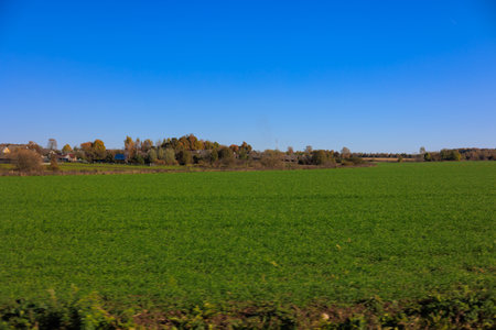 Views of the landscape from the car window.の写真素材