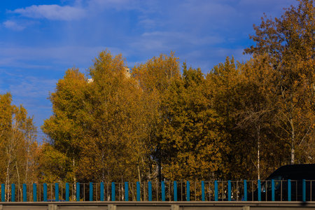 Views of the landscape from the car window.の写真素材