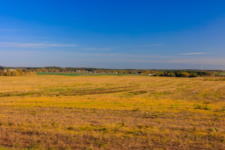 Road shoulder on a sunny autumn day. Views of the landscape from the car window.の写真素材