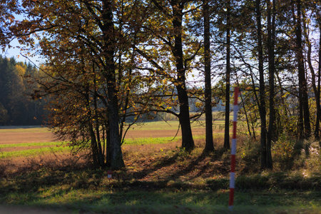 Road shoulder on a sunny autumn day. Views of the landscape from the car window.の写真素材