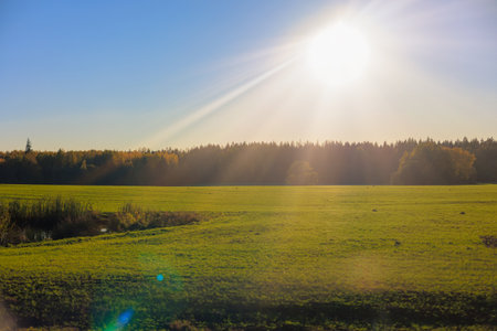 Views of the landscape on a sunny autumn day.の写真素材