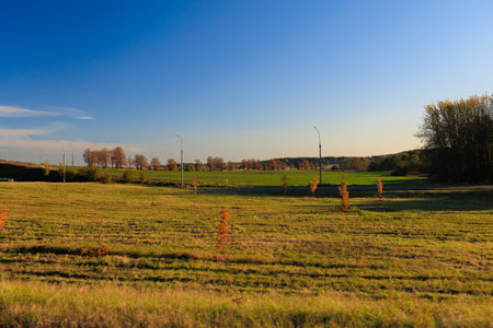 Views of the landscape on a sunny autumn day.の写真素材
