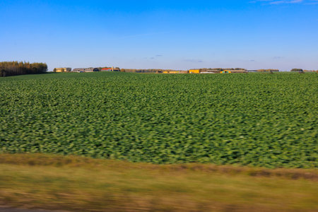Views of the landscape from the car window.の写真素材