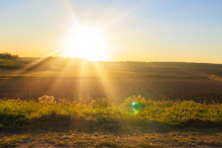 Roadside on a sunny day. View of the landscape and bright sun glare. View from the car window.の写真素材