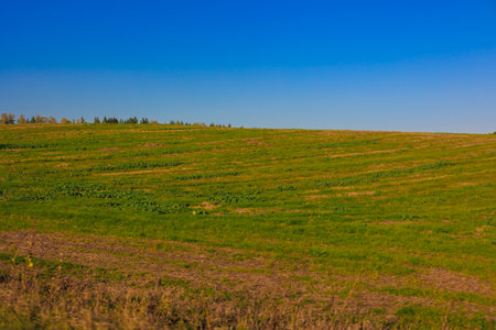 Views of the landscape on a sunny autumn day.