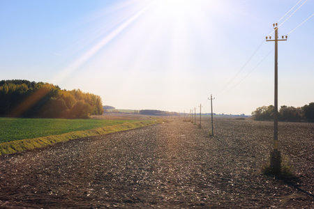 Roadside on a sunny day. View of the landscape and bright sun glare. View from the car window.