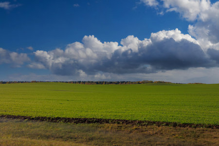 Views of the landscape from the car window.の写真素材