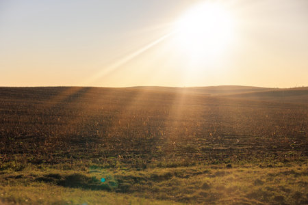 View of the landscape and bright sun glare.の写真素材