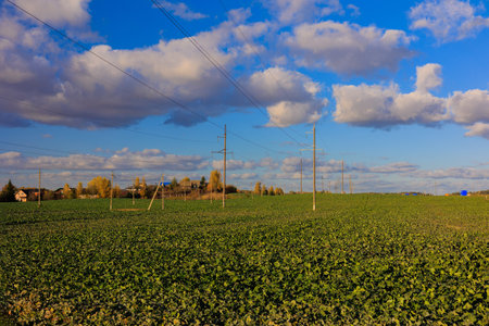 Road shoulder on a sunny autumn day. Views of the landscape from the car window.の写真素材
